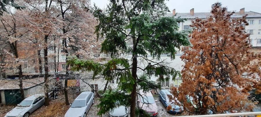 De inchiriat apartament 2 camere, Tg Mures, Ultracentral - 12