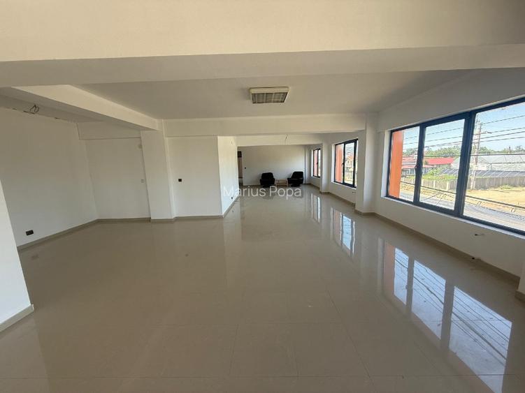 HALĂ INDUSTRIALĂ 8530 MP TEREN ȘI 3300 MP CONSTRUCȚII  - 4