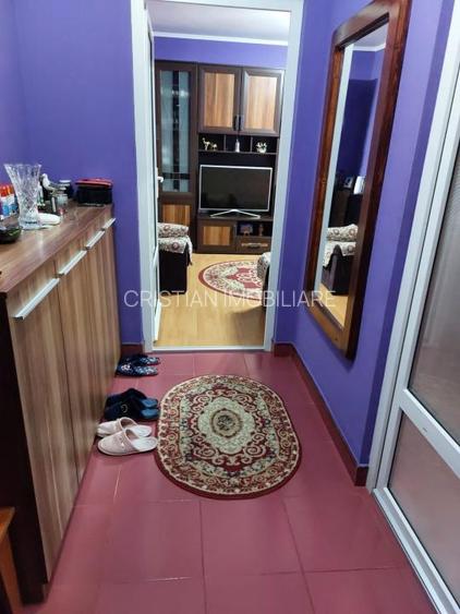 73 mp, 3 camere, confort 1, Mobilat si Utilat, izolat termic, Viziru 1 - Pistrui - 2