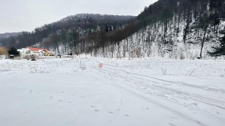 Teren intravilan - Sacele - Brasov - 4