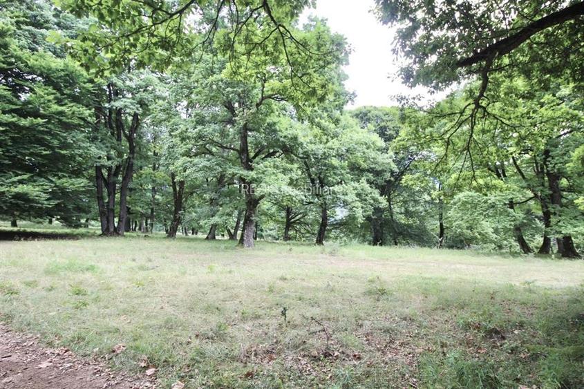 Teren de vanzare 4713 mp investitie | Poiana Brasov - 8