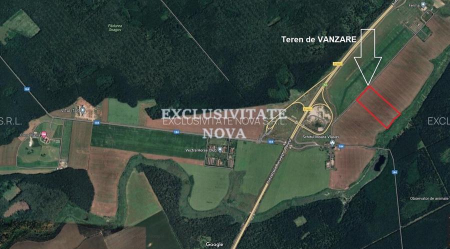 Teren 9Ha -> 16Ha Ha Intravilan , Exit A3 Snagov Ghermanesti Bucuresti-Ploiesti - 3