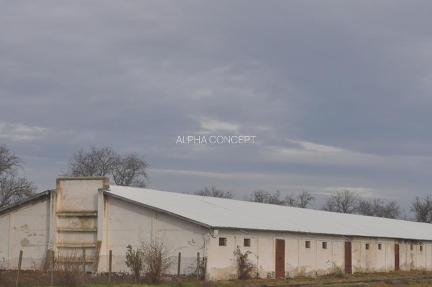 DEPOZIT CEREALE - CEAMURLIA DE JOS/STATIA CFR TVA INCLUS - 4