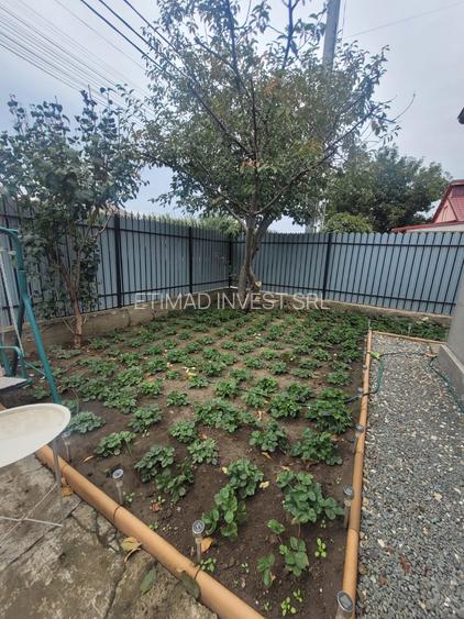 Valu lui Traian -casa 3 camere cu teren 300 mp -gaze la poarta -79900 Euro neg - 33