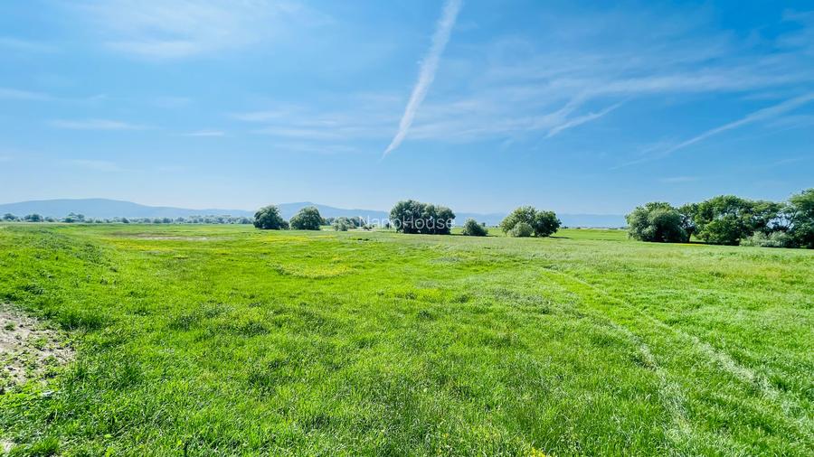 Teren intravilan  pentru investitie - 3