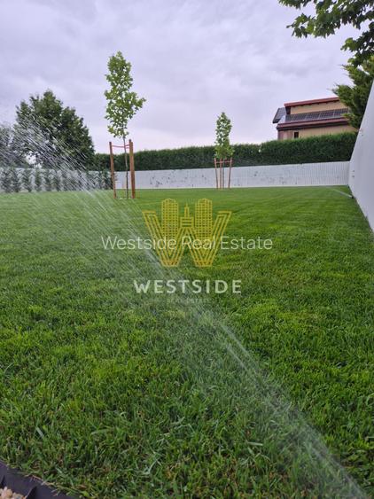 Vila deosebit de frumoasa in Dumbravita , Timisoara - 11