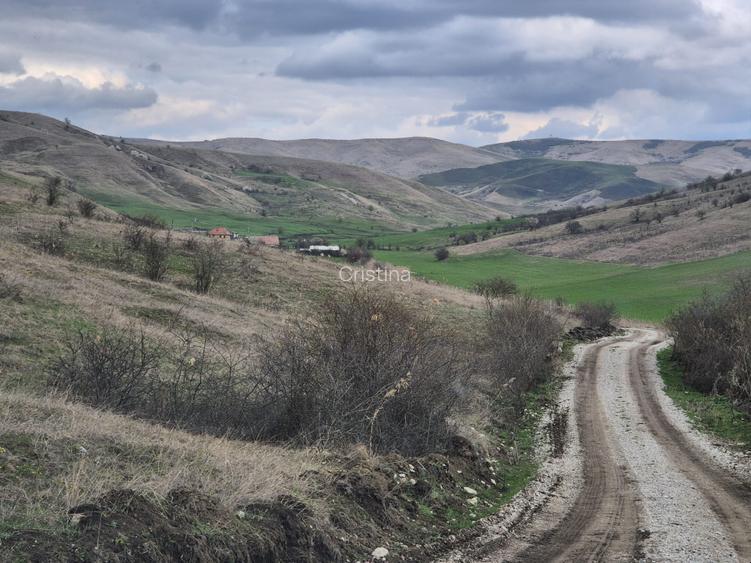 Stejeris are un teren de 3388000 de metri pătrați, din care 5000 de metri pătraț - 4