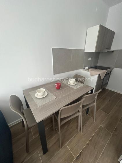 Garsoniera open space luminoasa, cu priveliste uimitoare in parcul Tineretului - 13