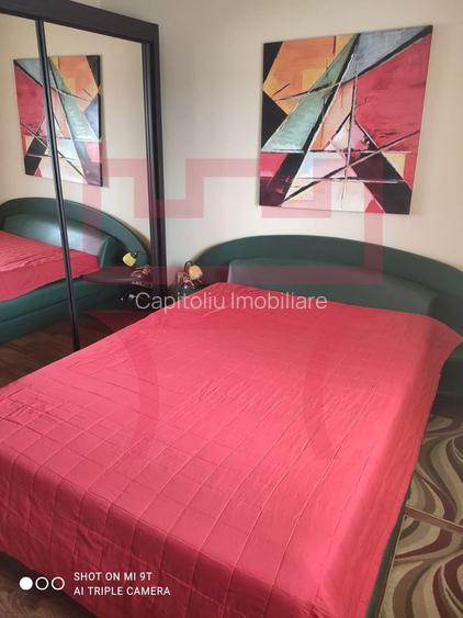 Inchiriere apartament renovat 2 camere parcare Plopilor parcul Babes - 6