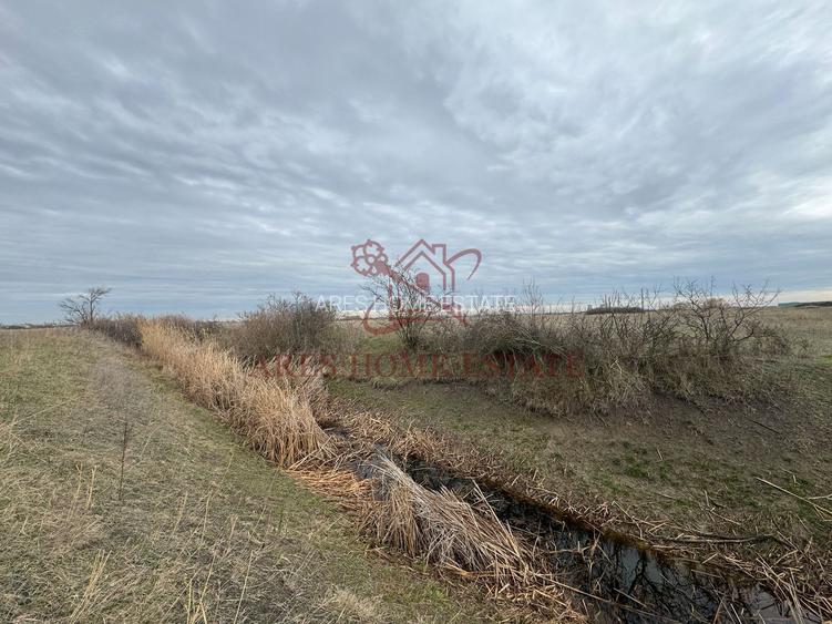 Teren 5.000 mp centura Calea Sagului- Freidorf. Comision 0 - 4