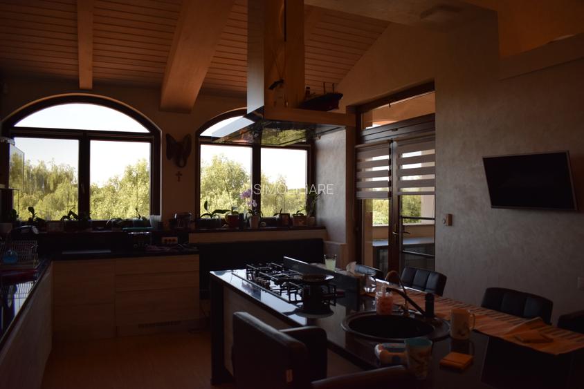 Conac lac Snagov cu ponton - 9