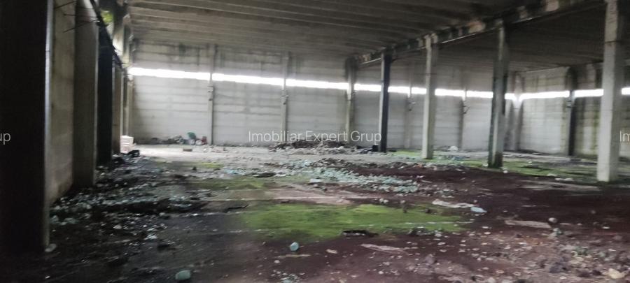 Hala ideal productie Oltenita - 6