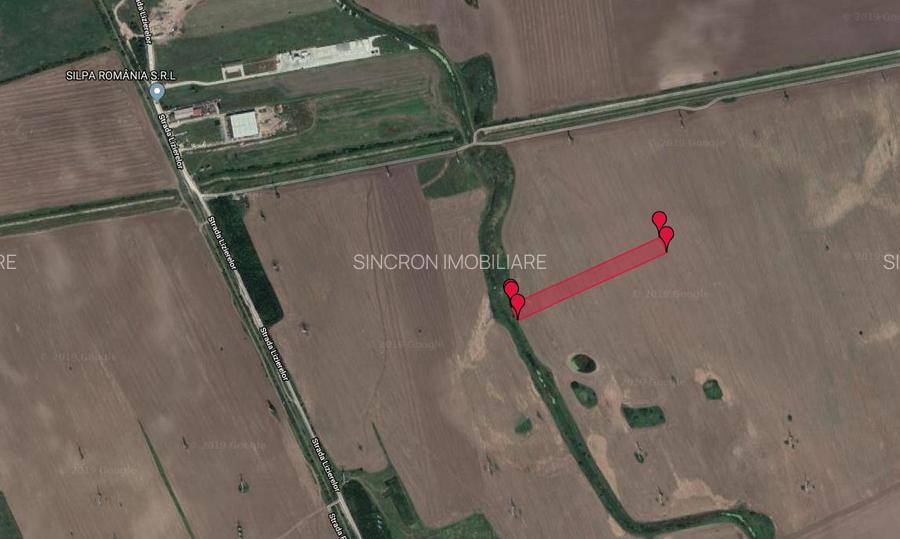 Teren extravilan Sintești 12774 mp - 3