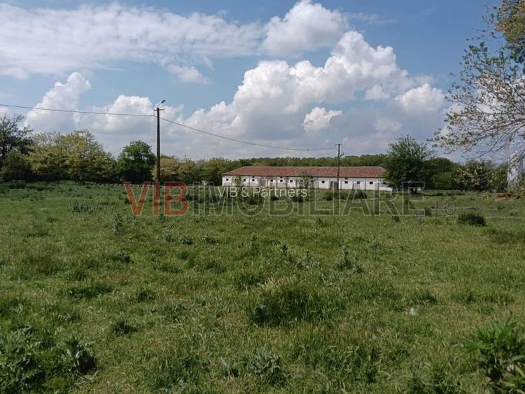 Ferma complet utilată – 30 ha teren comasat cu 11.500mp grajduri renovate Timiș - 6