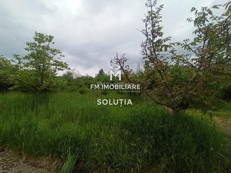 Teren 63 ari, Victoriei zona STO - 4