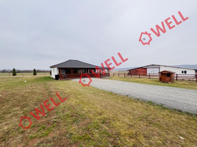 Ferma complet echipată de 22 de hectare de vânzare în Zoltan! - 14