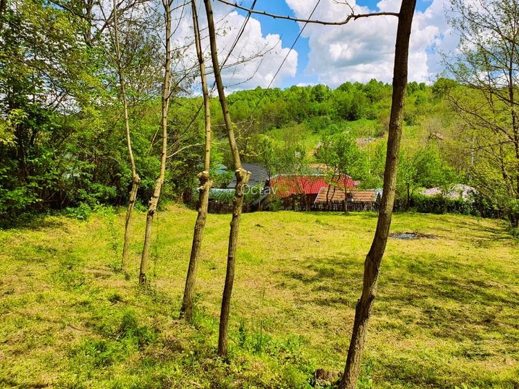 Teren intravilan 628 mp, Valenii de Munte - Teisani - 4