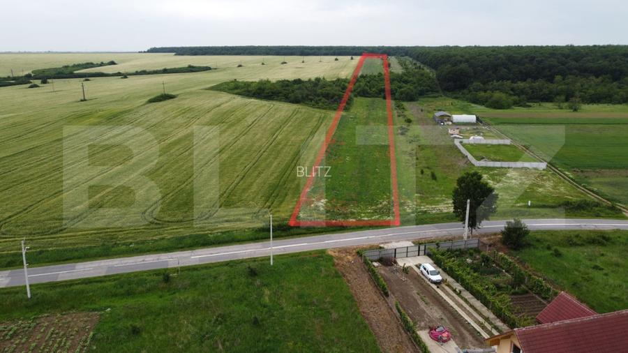 Teren intravilan, 15256 mp, deschidere bilaterala, zona Robanesti - 4