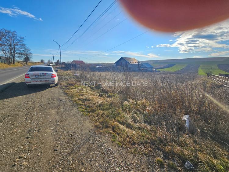 Teren Turturesti la strada principala - 6