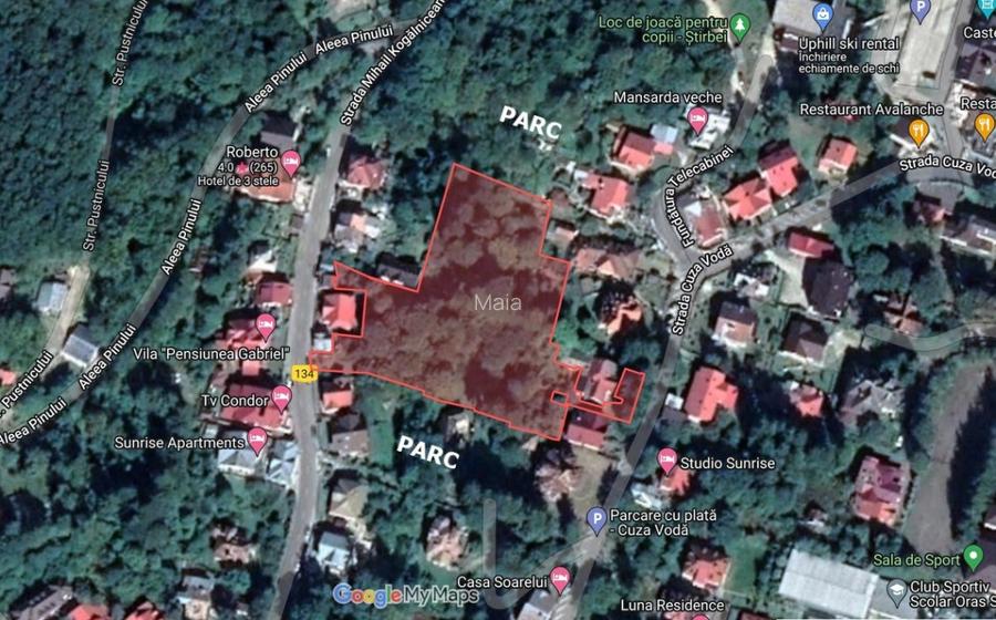Teren 6550 mp in Sinaia cu PUZ | Oportunitate Investitie  - 2
