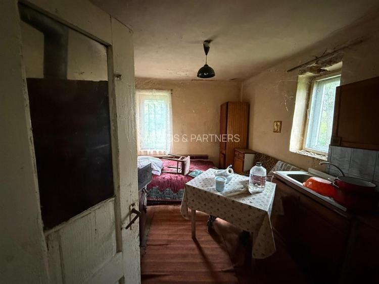 Casa la tara l teren 6600 MP l Aschileu Mare - 4