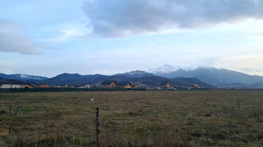 TEREN 1049 mp - INTRAVILAN DE CONSTRUCTII - 8