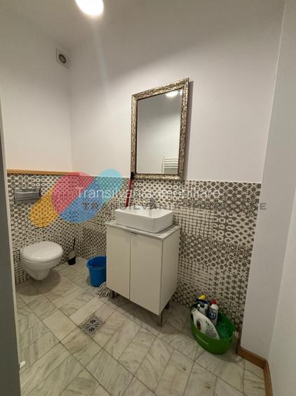 Apartament/Spatiu birou 160 Mp, zona Parcul Central - str. Cosbuc - 12