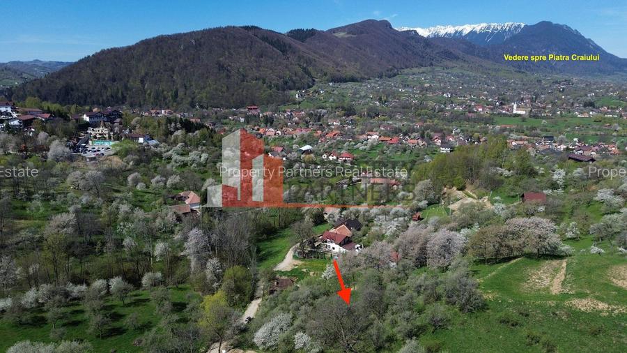 Teren 2500 mp Sohodol - 3