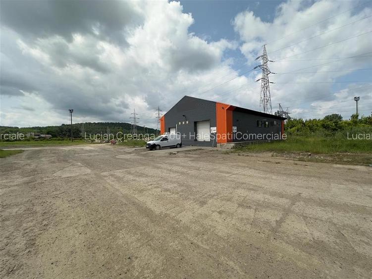 Hala alimentara, Calea Chisinaului, rampa, platforma, 234mp - 7
