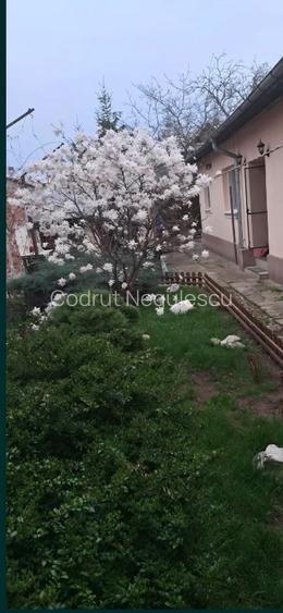 Casa de vanzare- zona Mihai Vitezul - 8