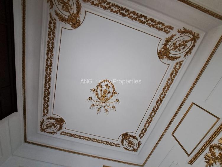 VILA ISTORICA GRADINA ICOANEI - UNIVERSITATE - 14