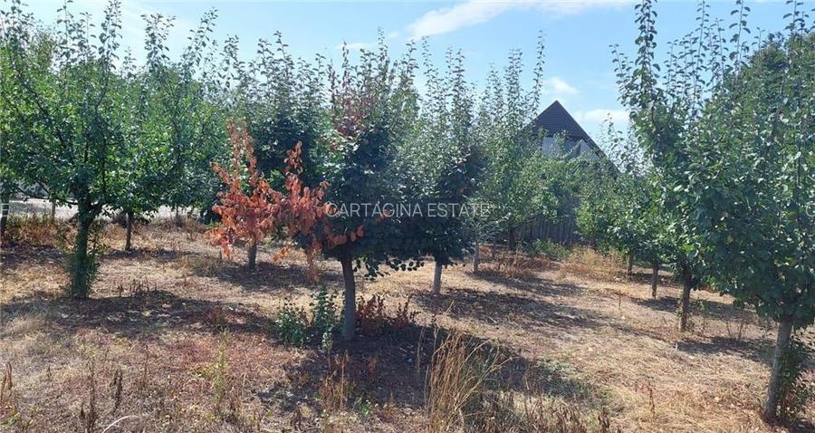 Teren intrvilan Pipera   Oxford   Teisani   1326mp    fs 34ml - 2