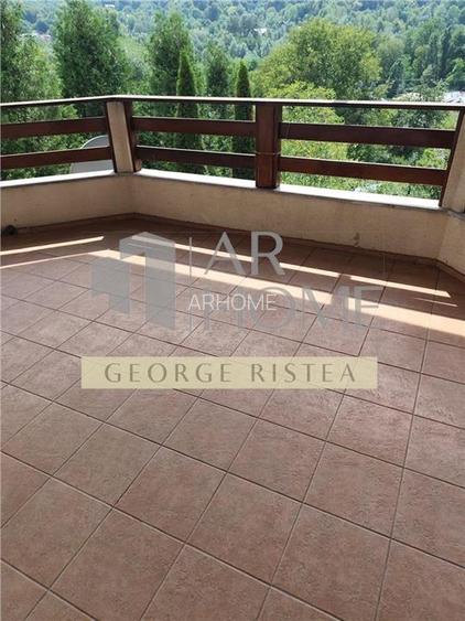 Vila  Provita de  Jos 380mp - 6