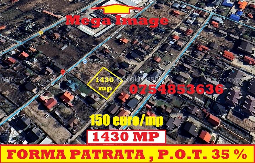C.U.G .-MEGA IMAGE  1430 MP , Str. fundac Cicoarei , 1430 mp , forma patrata - 2