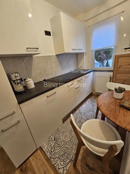 Apartament 2 camere, aer conditionat, strada Parang - 5