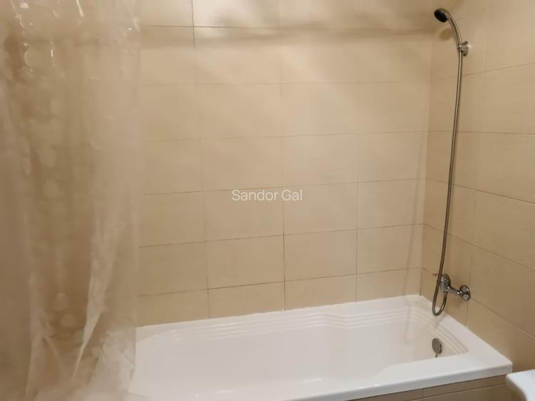  Proprietar, Dau în chirie apartament cu 1 cameră, Mănăștur, Flora Parc  - 10