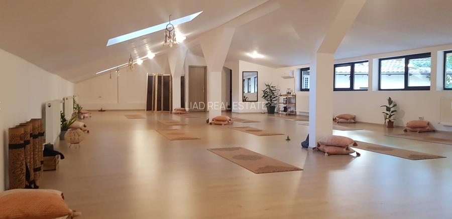 Studio sau birouri mansarda Universitate - strada Sfintilor 6 - 12