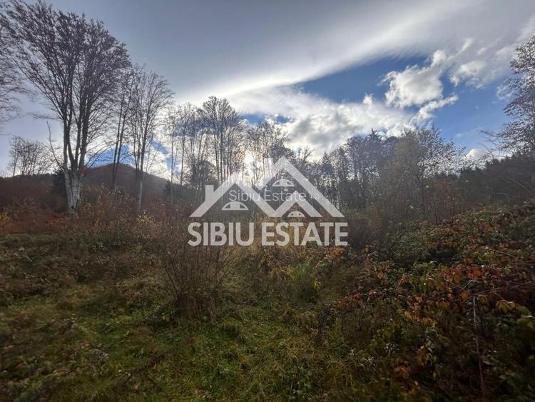 Oportunitate de investiție – Teren pentru hotel / pensiune pe Valea Avrigului - 9