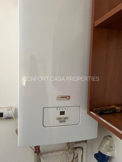 Mioveni - Cosesti - stradal, IDEAL  LOCUINTA/SPATIU COMERCIAL - teren 1250 mp - 11