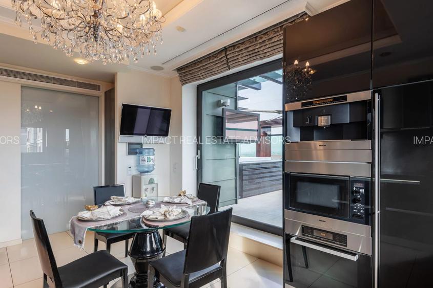 PENTHOUSE CU VEDERE PANORAMICA 258mp|| TERASE 215 MP || 3 LOCURI DE PARCARE - 16