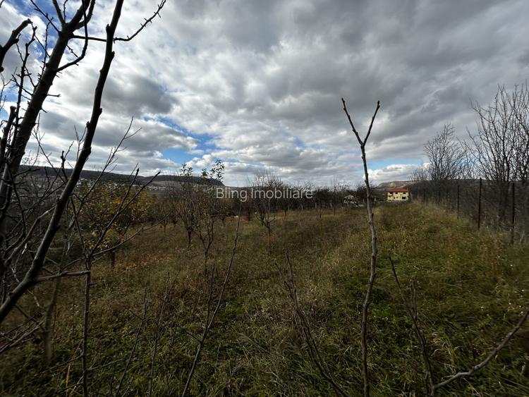 Teren intravilan in Chinteni 1.250mp pentru case sau Duplex  - 3