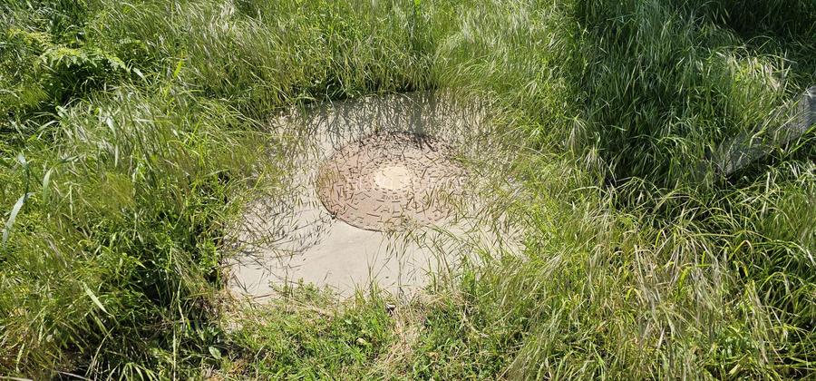 Costinesti / Frontal la mare/Forum /Golful Francez - 7