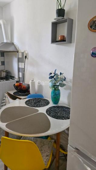 Apartament cu 2 camere  - 14