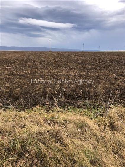 Teren pentru business 6300 MP Bucium la strada principala - 3