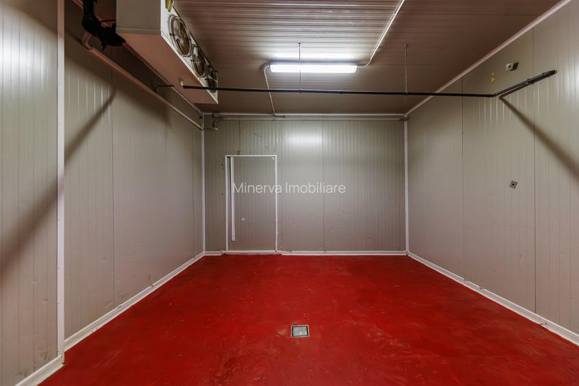 Hala depozitare, Dumbravița Timis, 1285 mp, Farma GDP Medical Cosmetice 6000 Eur - 12