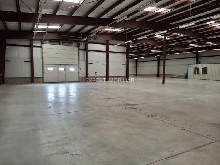 Hala productie /depozitare spatii cazare Branesti/Makita - 5