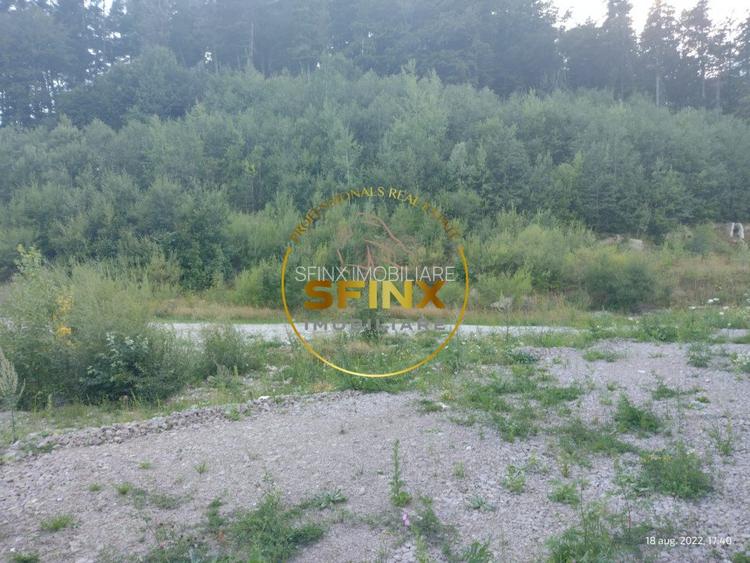 Teren intravilan 15.000 mp Busteni - 2