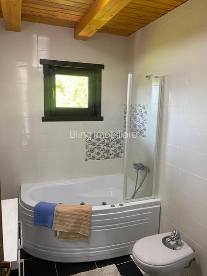 Casa de inchiriat 240mp utili, Zona Grigorescu - 14