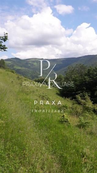 Teren de vanzare 10.000 mp/ parcelabil, cu utiitati, 4 euro/ mp! Maguri Racatau! - 7