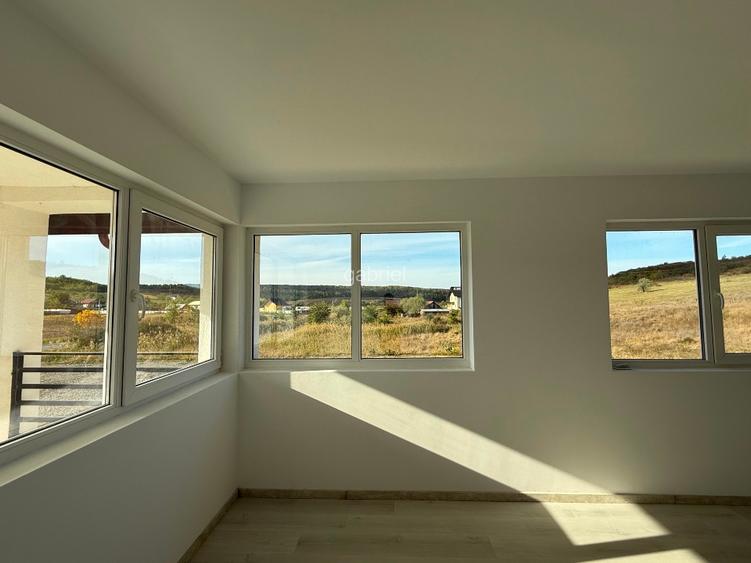 Proprietar-Casa în sat Dumbrava, Comuna Ciurea, Jud Iași, str. DJ 248D, nr. 385. - 2